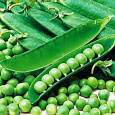 Горох Овощной Юрга