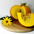 Тыква крупноплодная Улыбка